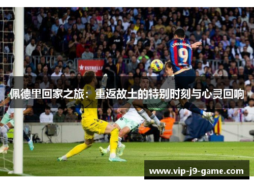 佩德里回家之旅:重返故土的特别时刻与心灵回响 佩德里回家之旅:重返故土的特别时刻与心灵回响