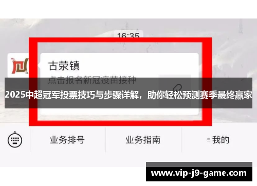 2025中超冠军投票技巧与步骤详解，助你轻松预测赛季最终赢家