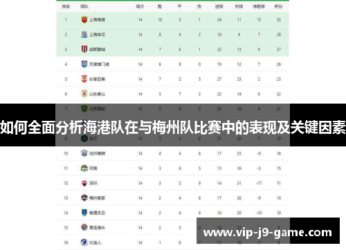 如何全面分析海港队在与梅州队比赛中的表现及关键因素