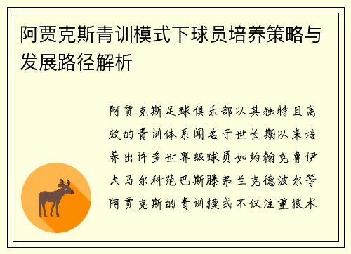 阿贾克斯青训模式下球员培养策略与发展路径解析 阿贾克斯青训模式下球员培养策略与发展路径解析