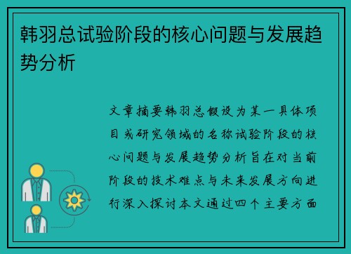 韩羽总试验阶段的核心问题与发展趋势分析 韩羽总试验阶段的核心问题与发展趋势分析