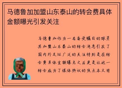 马德鲁加加盟山东泰山的转会费具体金额曝光引发关注 马德鲁加加盟山东泰山的转会费具体金额曝光引发关注